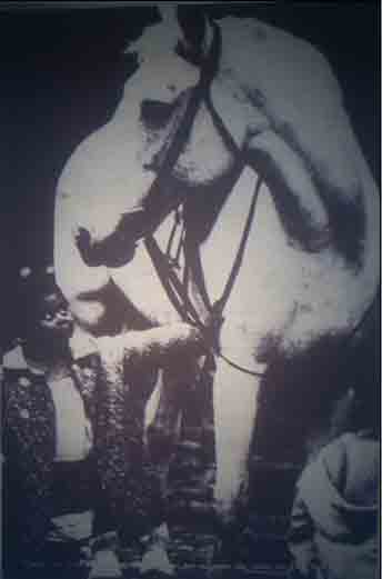 Dessin d'enfant de la butte du jardin, avec les pruniers et les ruches