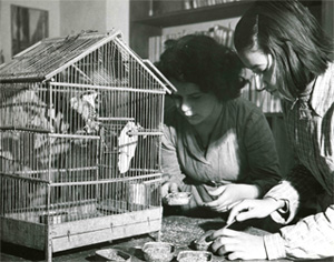 Fillettes nourissant les perruches et nettoyant leur voli&egrave;re